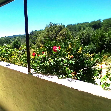 Rose Apartment *
