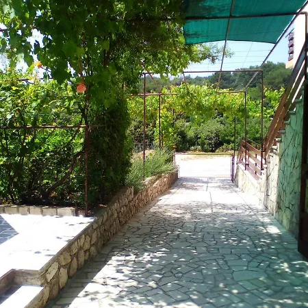 Rose * Mali Losinj